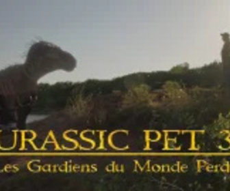 Replay Jurassic Pet 3 : Les Gardiens du monde perdu