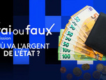 Replay Vrai ou faux, l'émission - Où va l'argent de l'État ?