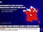 Replay 20H BFM - Le moustique tigre est désormais présent dans plus de 80% des départements français