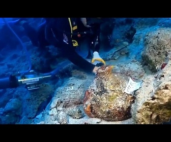 Replay Turquie : des plongeurs mettent au jour les trésors d'une épave vieille de 4 700 ans
