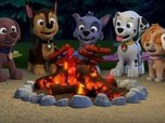 Replay Paw Patrol, la Pat'Patrouille - L'assistant de la Fée des dents