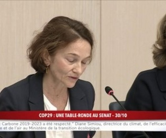 Replay 100% Sénat - Cop29 : une table ronde au Sénat