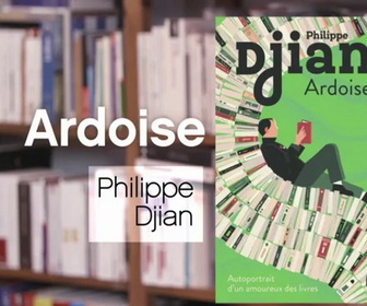 Replay La p'tite librairie - Ardoise - Philippe Djian