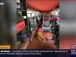 Replay L'image du jour - La photo d'un chien sans muselière dans un TGV, postée par une ex-députée socialiste, fait polémique