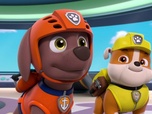 Replay Paw Patrol, la Pat'Patrouille - Digi et Tal, les robots assistants
