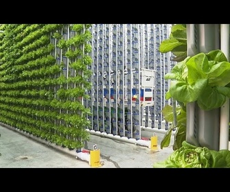 Replay Cultiver l'avenir pour améliorer l'approvisionnement alimentaire et créer des solutions