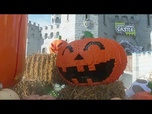 Replay Des citrouilles en LEGO apportent la magie d'Halloween à Legoland Windsor