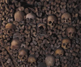 Replay Les dossiers d'ICI - 29/11/2025