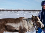 Replay Norvège, la princesse des rennes - GEO Reportage
