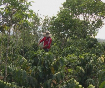 Replay Info éco - Colombie : le séisme pèse sur l'industrie du café et toute l'économie