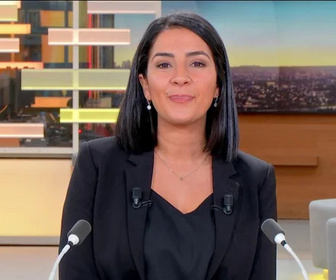 Replay La politique s'éclaire - 09/11/2025