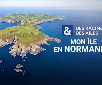 Replay Des Racines et Des Ailes