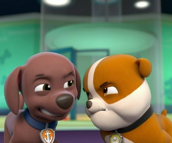 Replay Paw Patrol, la Pat'Patrouille - Que le meilleur gagne !