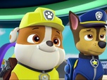 Replay Paw Patrol, la Pat'Patrouille - Atchoum !