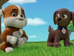 Replay Paw Patrol, la Pat'Patrouille - Le concert de M. Hellinger