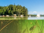 Replay Les eaux du Nord - Les lacs d'Allemagne