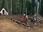 Replay Habitations En Peril