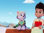 Replay Paw Patrol, la Pat'Patrouille - Des chèvres en danger