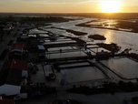 Replay Élément Terre, le reportage - Ces Français font des routes anti-inondation et des murs anti-sécheresse avec des huîtres