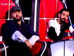 Replay The Voice - 54m