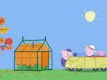 Replay Peppa Pig - S7 E5 - Le concours de citrouilles