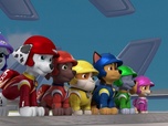 Replay Paw Patrol, la Pat'Patrouille - Mission Tout-Terrain : Les véhicules ont disparu !