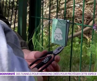 Replay On a de l'info - Biodiversité : des tunnels pour protéger les hérissons