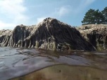 Replay ARTE Journal - Les algues, fléau de la mer Baltique