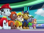 Replay Paw Patrol, la Pat'Patrouille - S02 E39 - L'os de dinosaure