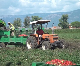 Replay ARTE Journal - Migration : les paradoxes de Georgia Meloni