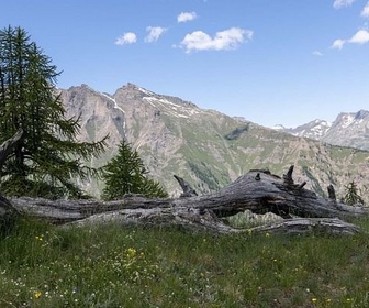 Replay Une vie à l'ombre des Alpes - La vallée d'Aoste en Italie