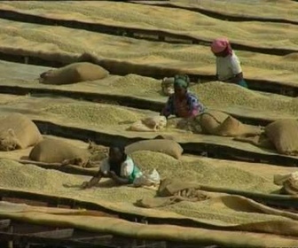 Replay Découverte du Monde - Café, l'or du Kenya