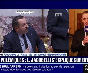 Replay 20H BFM - Laurent Jacobelli (RN) estime que LFI est le bras politique d'un certain nombre d'organisations qui veulent du mal à la France