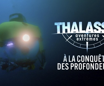 Replay Thalassa, aventures extrêmes - 27/01/2025