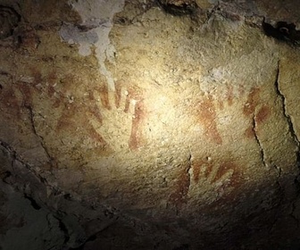 Replay Sulawesi, l'île des premières images