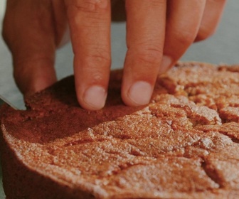 Replay Petits Plats en équilibre - Gâteau à la farine de châtaigne et poire