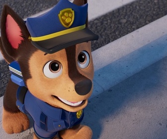 Replay Paw Patrol, la Pat'Patrouille - Mission Détectives : La disparition des chatons