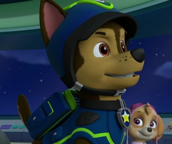 Replay Paw Patrol, la Pat'Patrouille - Un cargo en danger