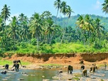 Replay Yala, un éden au Sri Lanka - Merveilles de la nature