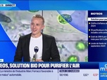 Replay Good Morning Business - Le Pitch : Bioteos, des microalgues pour purifier l'air - 16/10