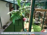Replay Le 1945 du 12/08/25