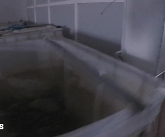 Replay Au cœur des douanes - S4E13 - Episode 13