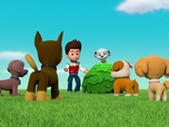 Replay Paw Patrol, la Pat'Patrouille - La récolte de maïs