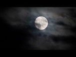 Replay Super Lune de novembre : la plus brillante et la plus proche de l'année