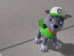 Replay Paw Patrol, la Pat'Patrouille - La grosse fuite