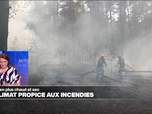 Replay Élément Terre, la quotidienne - Un climat de plus en plus propice aux feux de forêt