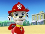 Replay Paw Patrol, la Pat'Patrouille - L'épreuve du feu de Marcus