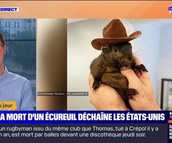 Replay L'image du jour - Peanut, écureuil star d'Instagram, euthanasié en raison d'un risque de propagation de la rage