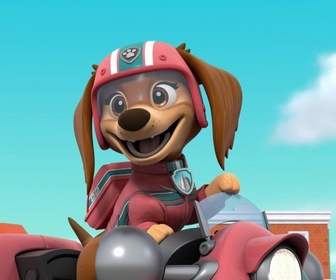 Replay Paw Patrol, la Pat'Patrouille - Un ours dans la ville