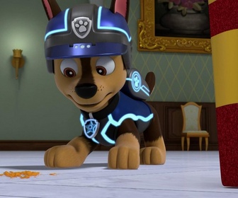 Replay Paw Patrol, la Pat'Patrouille - Le portrait de la princesse